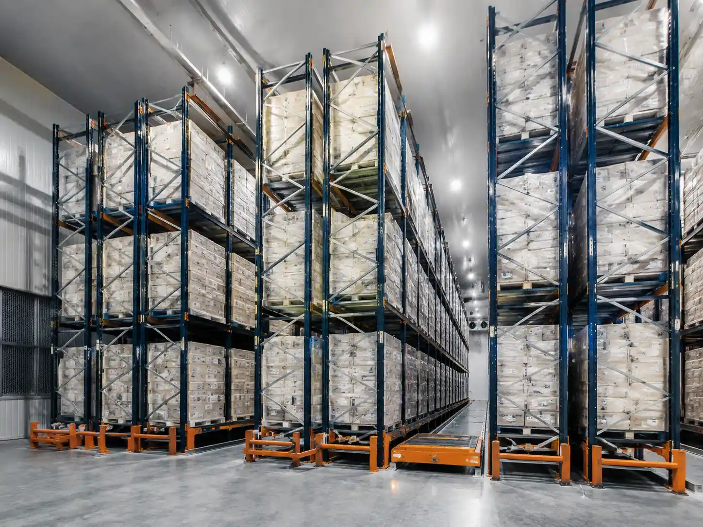 Pallet Racking Manufacturer Radio Shuttle Racking System Automated Pallet Runner Storage